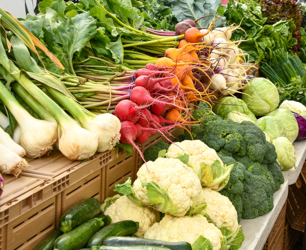 Nutritionexpertise team providing professional dietary advice in Slovakia